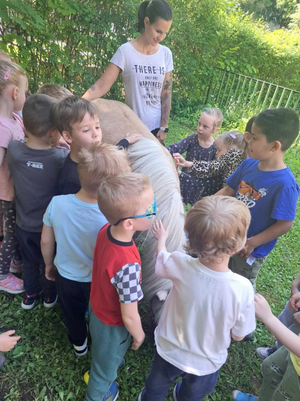 Póni simogatás